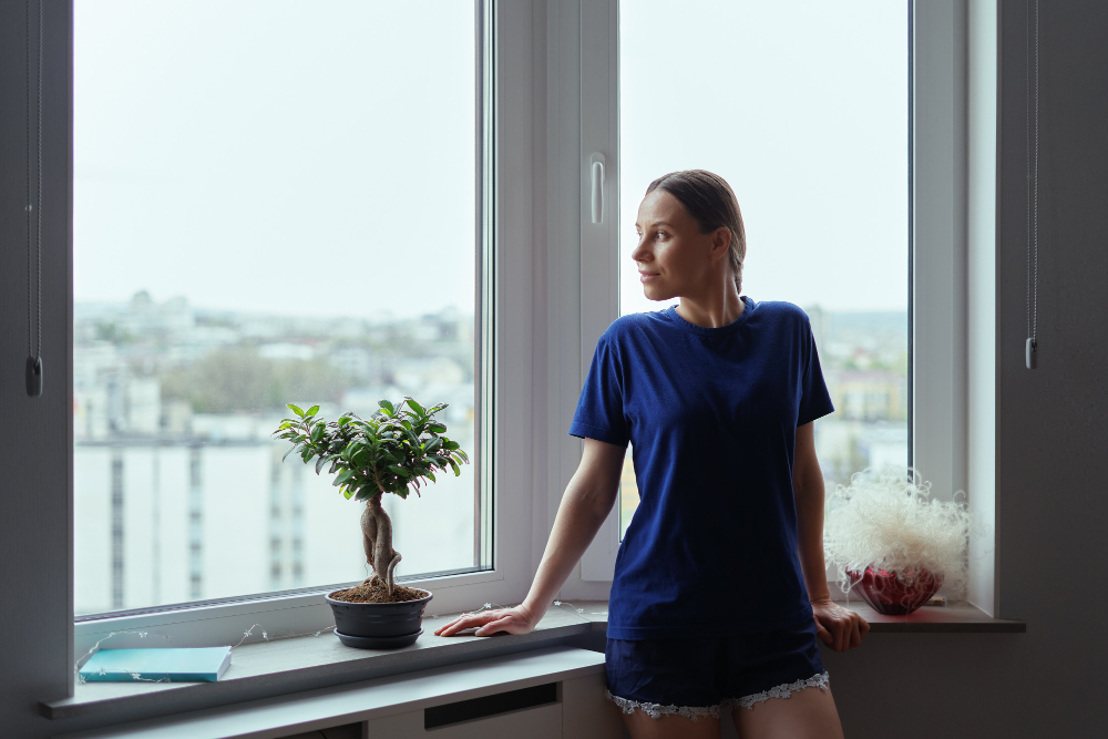 Birmingham Window Styles